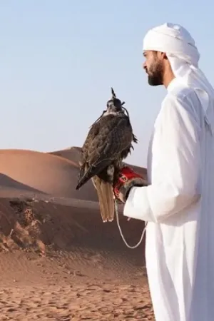 رواية رجفة قلوب اسود الصحراء بقلم Misoo - غلاف الرواية