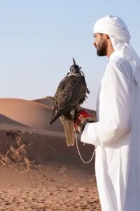 رجفة قلوب اسود الصحراء