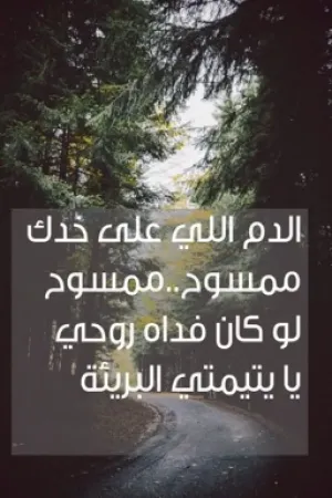 رواية الدم اللي على خدك ممسوح ..ممسوح لو كان فداه روحي يايتيمتي البرييئه../مكتمله بقلم بنت&amp;بلادي - غلاف الرواية