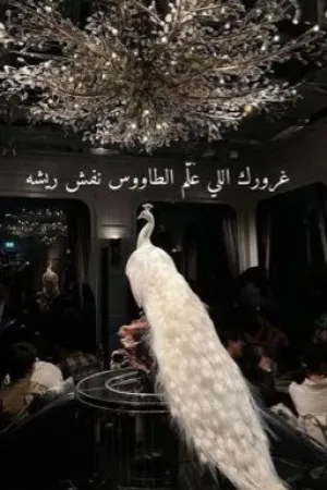 رواية غرورك اللي علم الطاووس نفش ريشه بقلم شُروق - غلاف الرواية