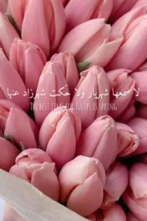 رواية لا سمعها شهريار ولا حَكت شهرزاد عنها بقلم شُروق - غلاف الرواية