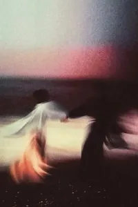 حب الاعشى