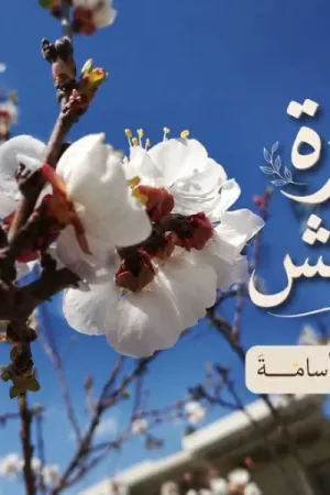 رواية زهرة المشمش بقلم هدير أسامة - غلاف الرواية