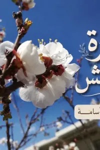زهرة المشمش